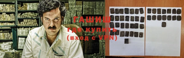 дмт Бородино