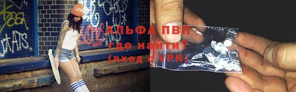 дмт Бородино