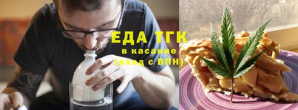 дмт Бородино