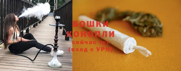 дмт Бородино