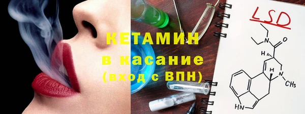 дмт Бородино