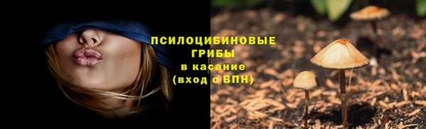 дмт Бородино