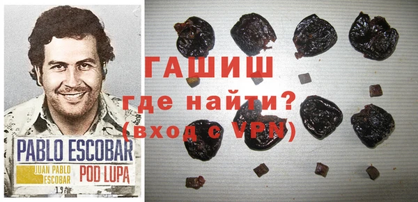 дмт Бородино