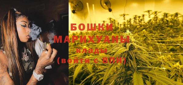 дмт Бородино