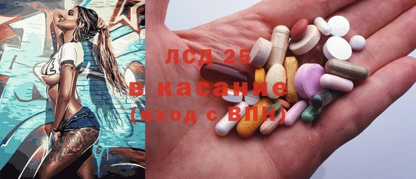 дмт Бородино