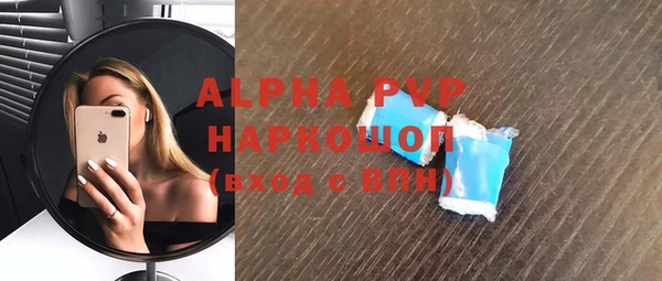 дмт Бородино